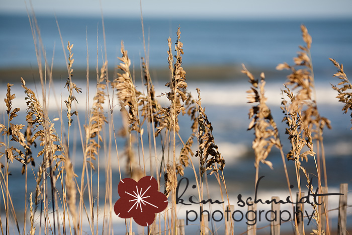 jersey shore children photographer