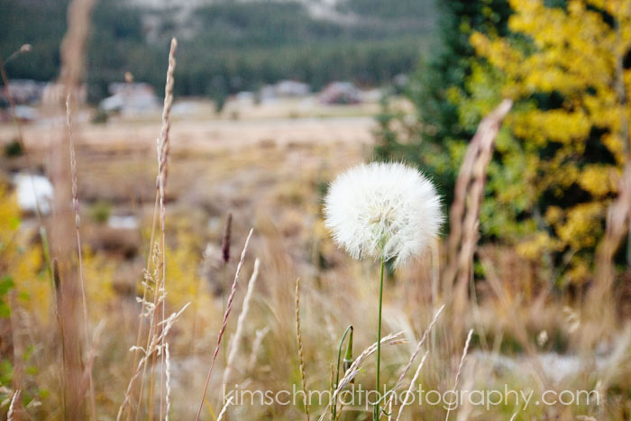 breckenridge fall