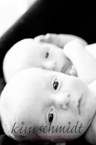 central new jersey twin newborn photographer