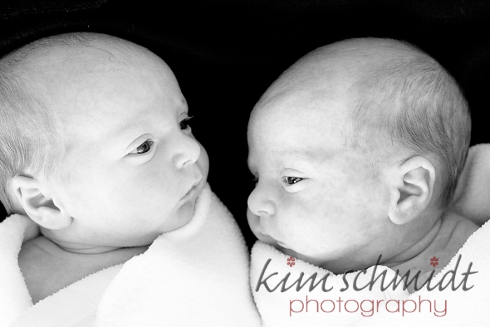 central new jersey twin newborn photographer