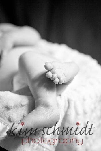 princeton newborn photographer