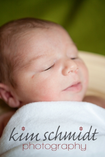 princeton newborn photographer