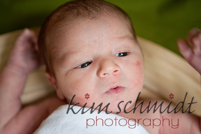 princeton newborn photographer
