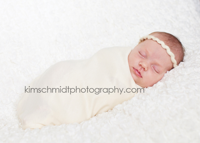 princeton newborn photographer, central jersey newborn photographer, west windsor newborn photographer